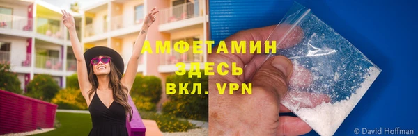 apvp Алзамай