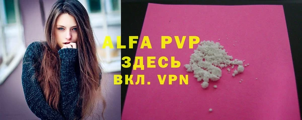 apvp Алзамай