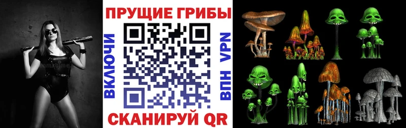 Галлюциногенные грибы Cubensis  мега как зайти  Нижний Ломов 
